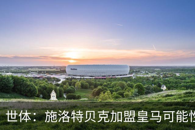 世体：施洛特贝克加盟皇马可能性变大 穆帅欣赏且仅需约5到6千万